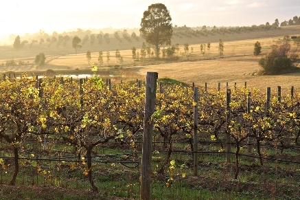 NSW will now export an additional four million dollars worth of wine to China.